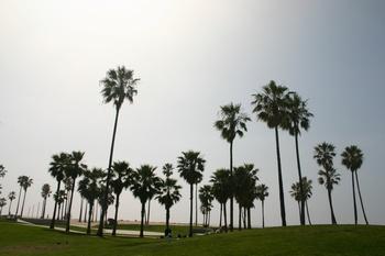 Los Angeles Hostels