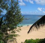 Oahu Hostels