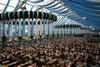 Survival Guide for Oktoberfest