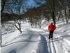 Ski Hostels