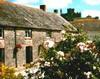 Country Bed and Breakfasts in Ireland