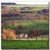 Farmhouse Bed and Breakfasts
