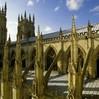 York Guide