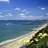 Bournemouth Guide