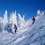 Skiing Bed and Breakfasts