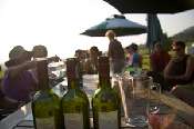 Stumble Inn Backpackers Lodge Activities