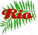 Rio Guesthouse