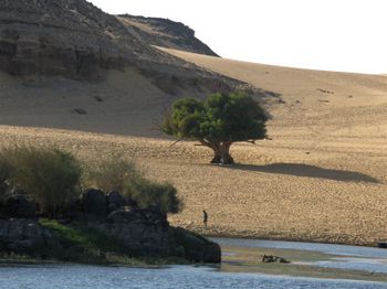 Click to View Egypt