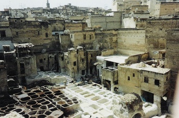 Click to View Maroc