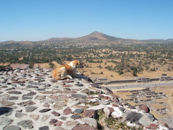 Click to View mexico