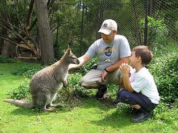 Click to View Australia