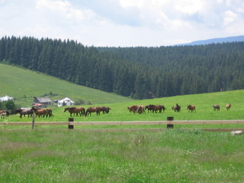 Click to View Zvolen-Slovakia
