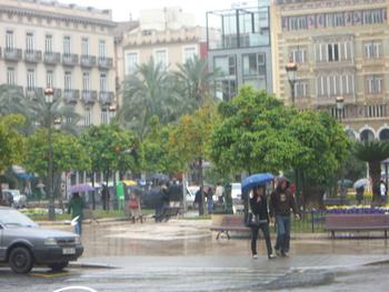Click to View valencia