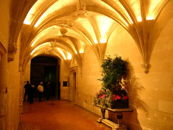 Click to View Chenonceau Castle