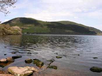 Click to View 