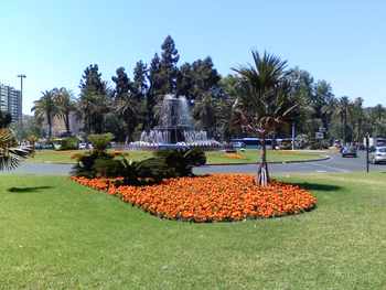 Click to View Malaga