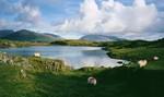 Book bed and breakfasts near the Connemara Way