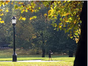 London parks: image from www.visitlondon.com