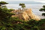 Monterey Hostels