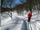 Ski Hostels Scotland