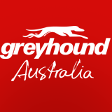 Greyhound Australia
