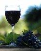 Italian & Wine tasting, Florence, Italy