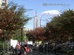 10 Things You Need To Know About New York City