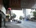 Walking up a hill in Auckland